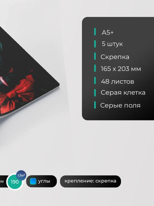 Daftarlar to‘plami A5, 48 varaq, 5 dona, katakli, maktab va talabalar uchun Rossiya