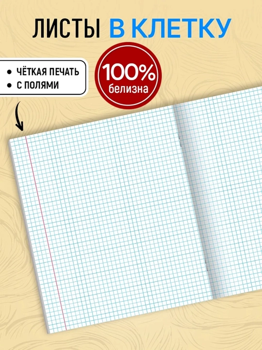 Daftarlar to‘plami A5, 48 varaq, 5 dona, katakli, maktab va talabalar uchun Rossiya