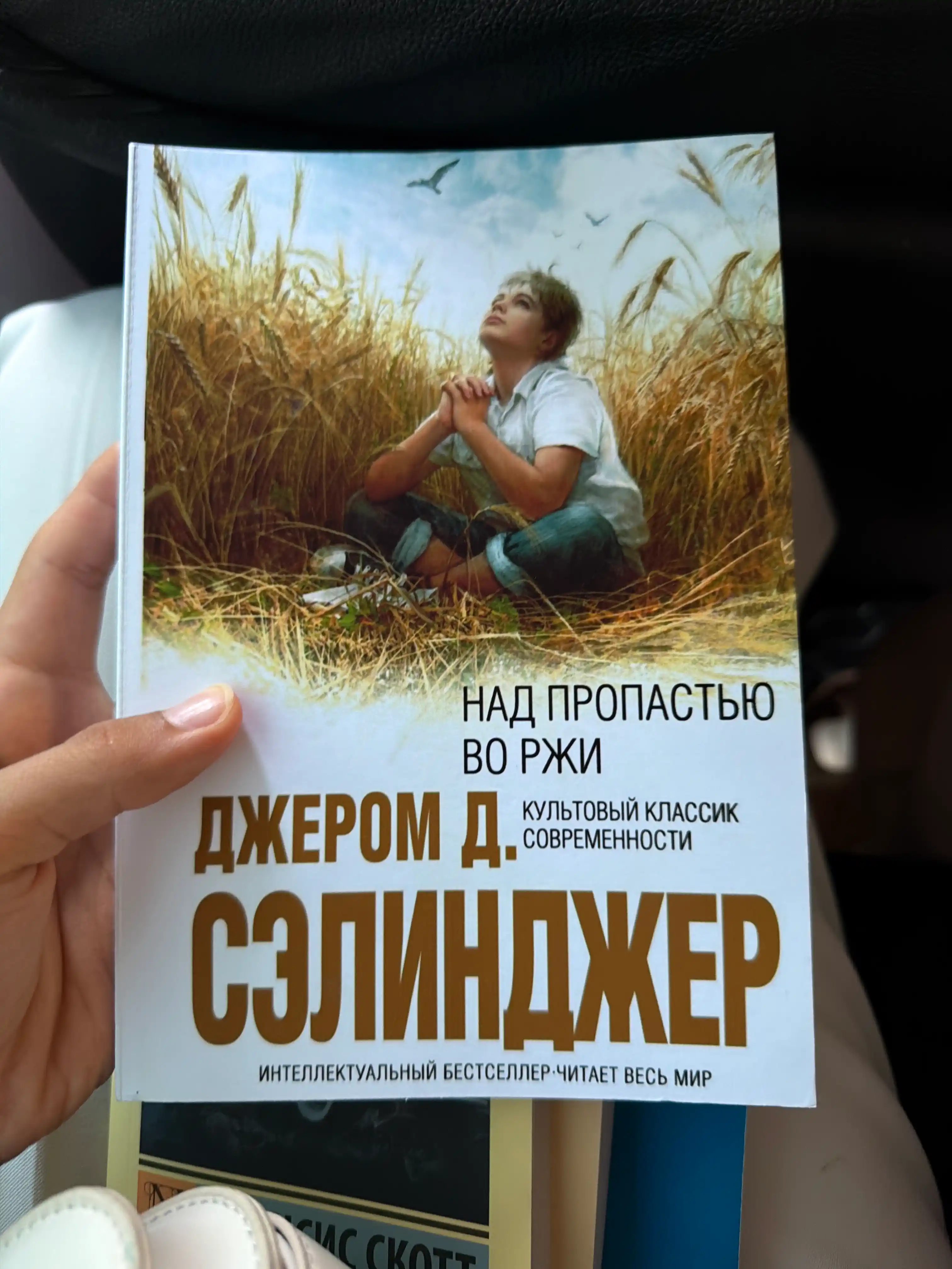 Над пропастью во ржи. Дж. Д. Сэлинджер