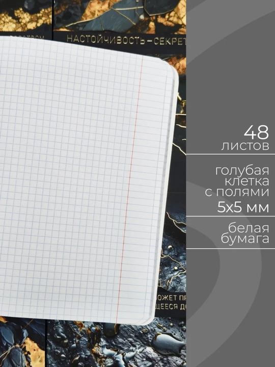Daftarlar to‘plami A5, 48 varaq, 5 dona, katakli, maktab va talabalar uchun Rossiya