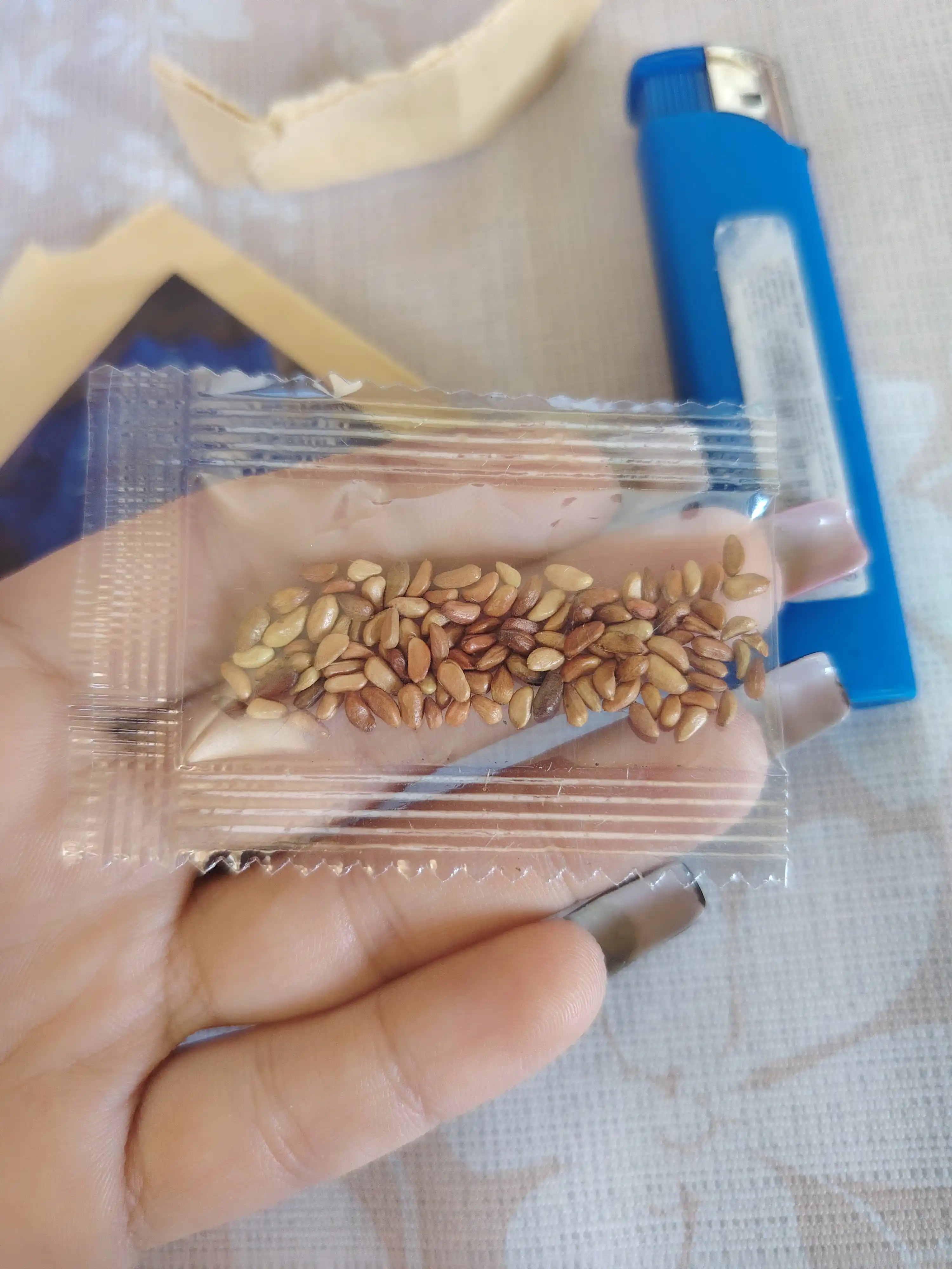 Atirgul urug‘lari (ko‘k navli), manzarali bog‘ gullari, 100 g