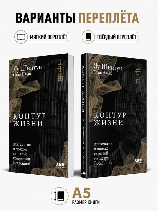 Контур жизни. Математик в поиске скрытой геометрии Вселенной - Яу Шинтун, Стив Надис - 