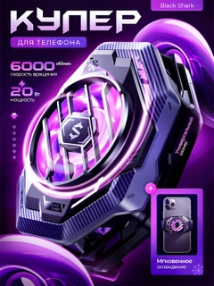 Qora