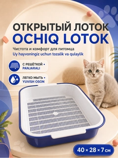 Лазурный