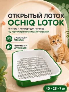 Зеленый