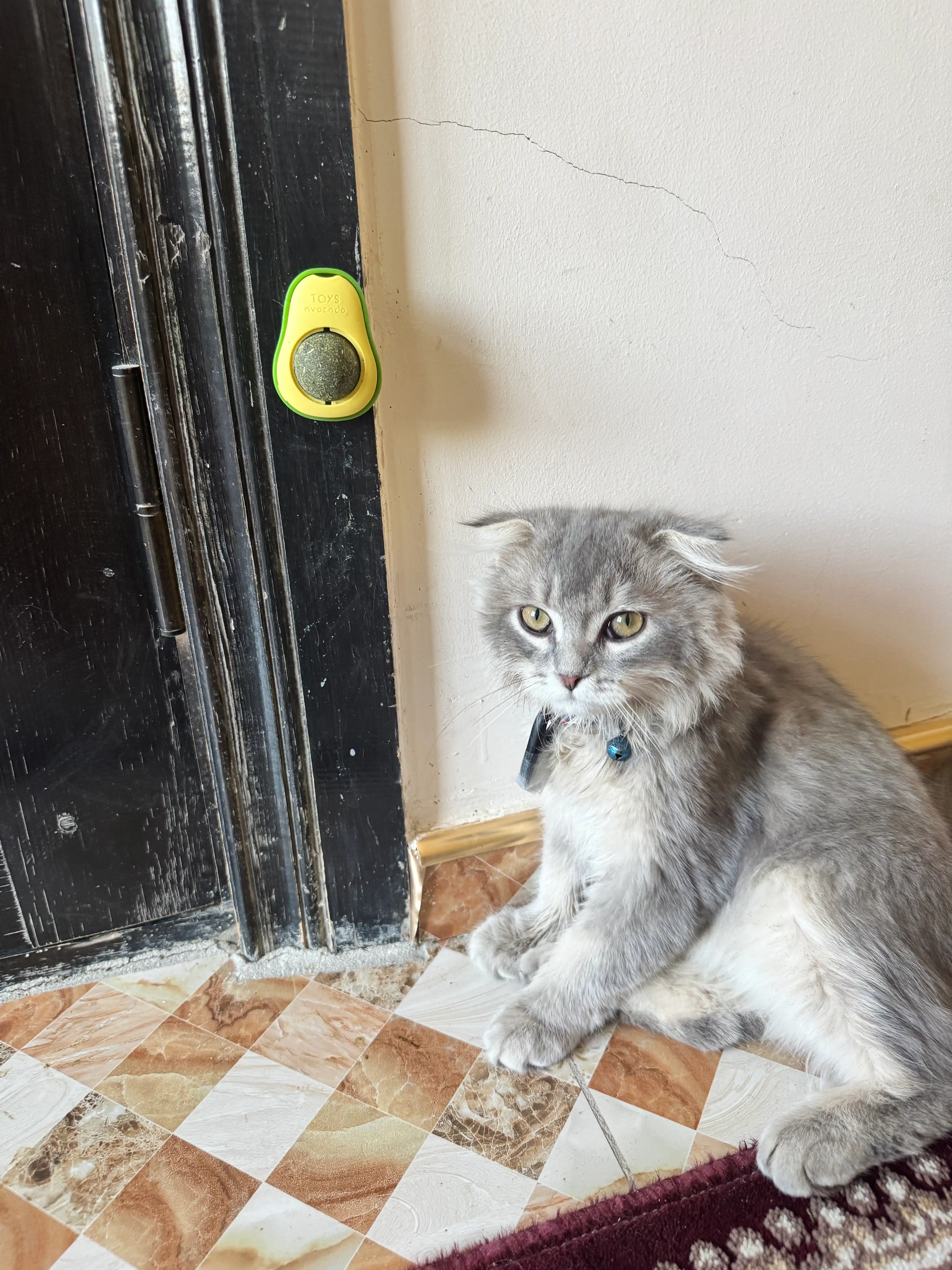 Шарик с кошачьей мятой на липучке, игрушка лизун для кошек