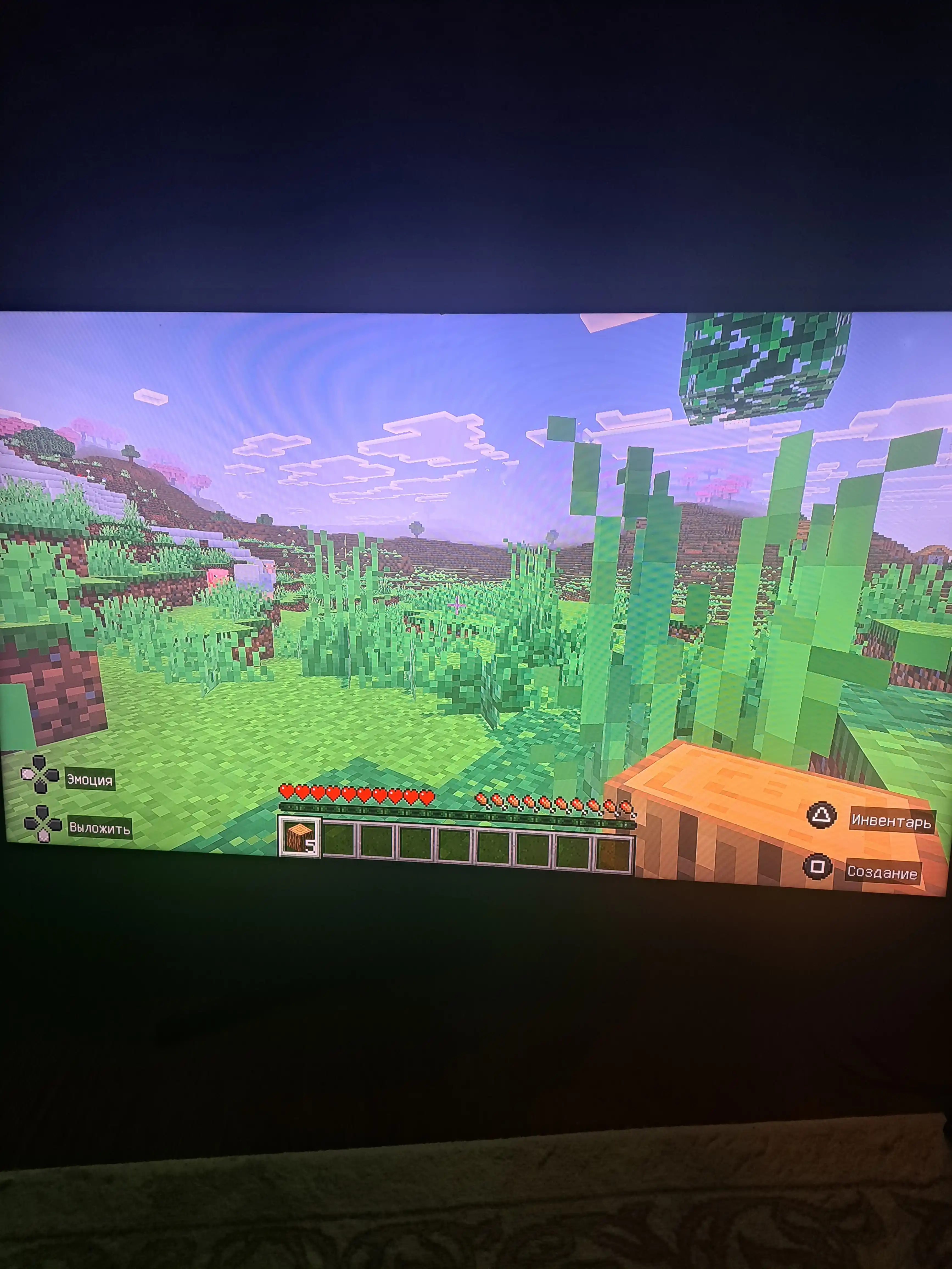 Minecraft Deluxe Collection PS5 Raqamli o'yin