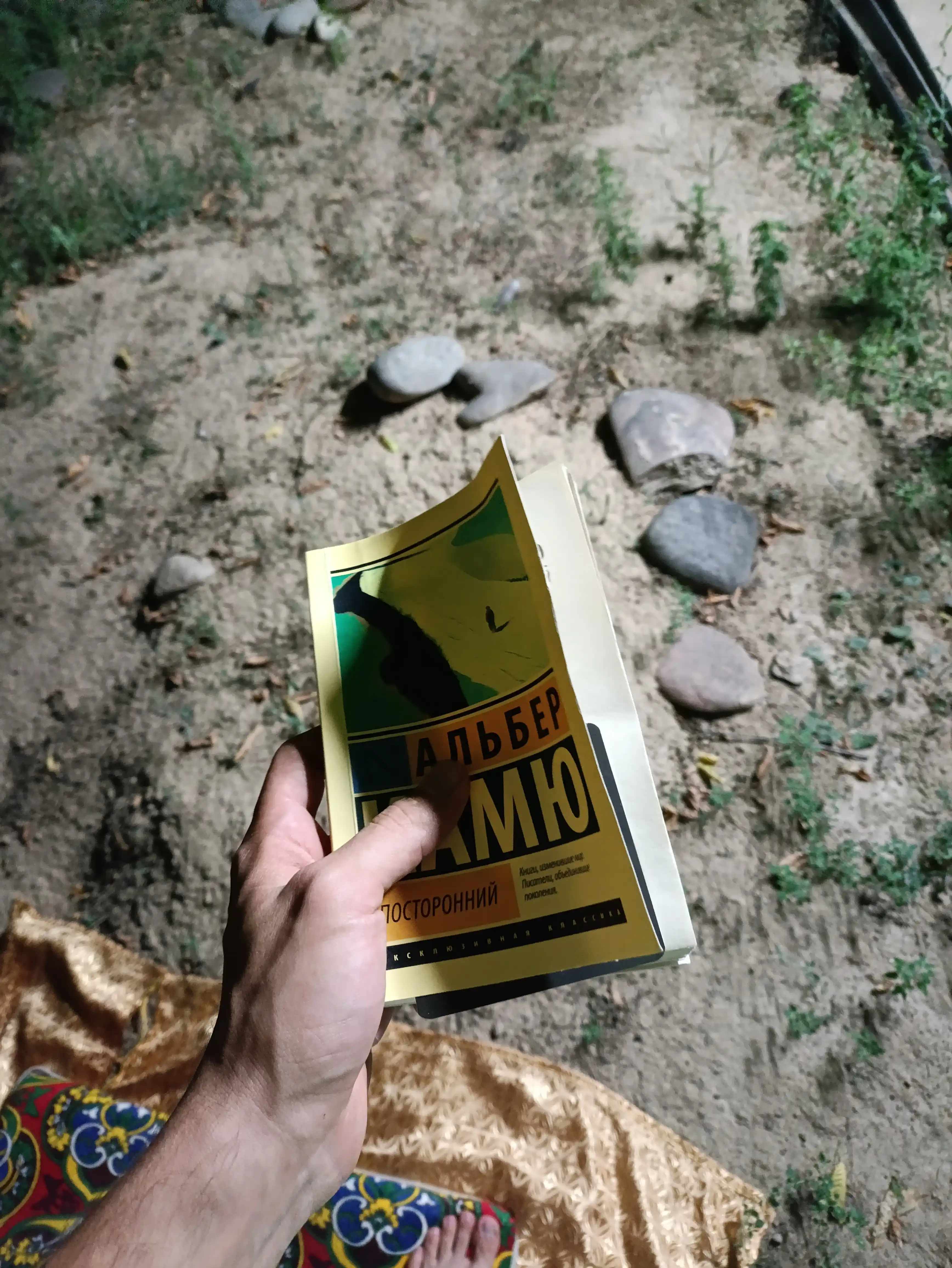 Посторонний. Альбер Камю