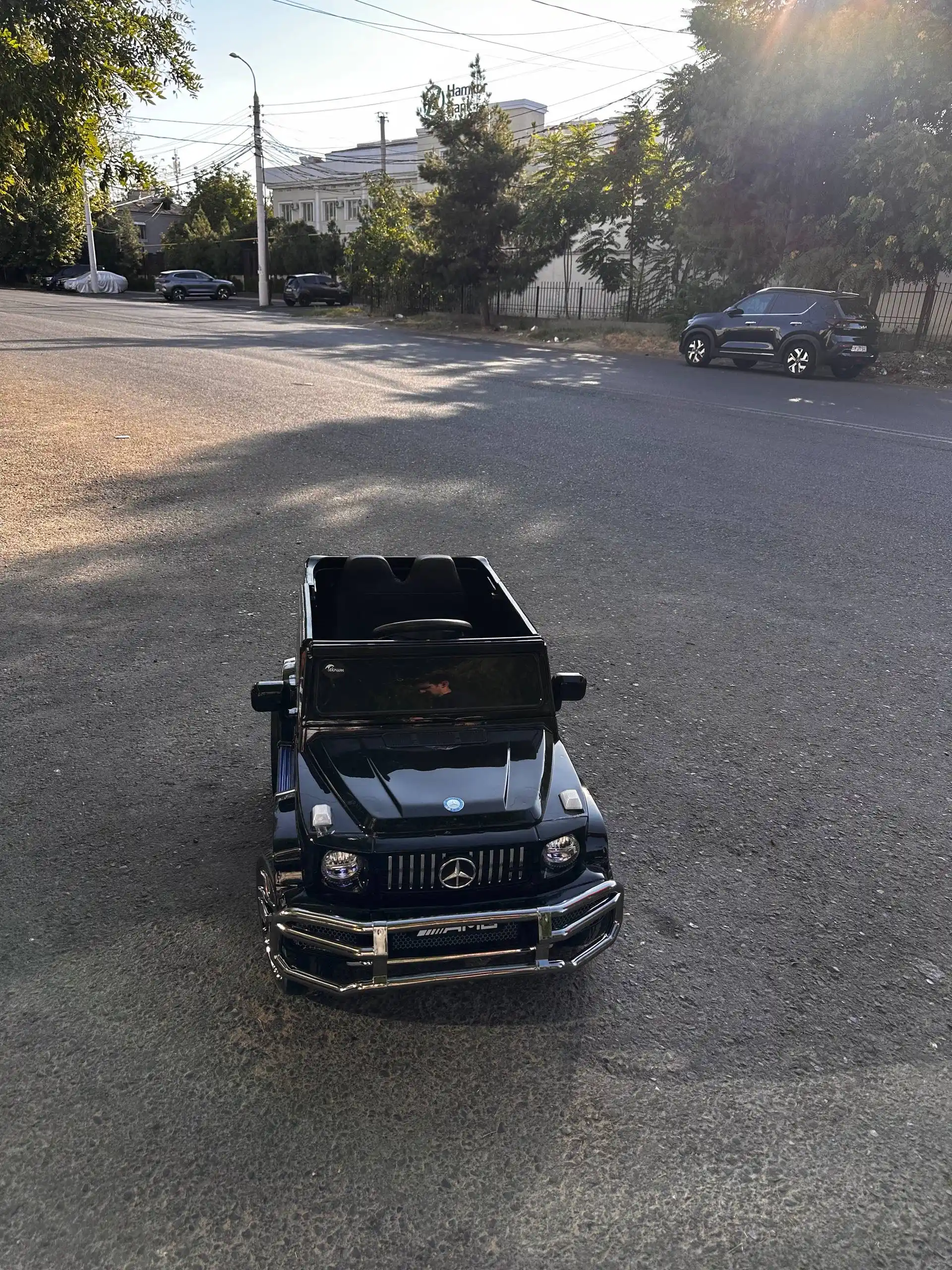 Детский электромобиль, Mercedes, Benz G-Class, AMG 4x4, Гелендваген, на пульте управления
