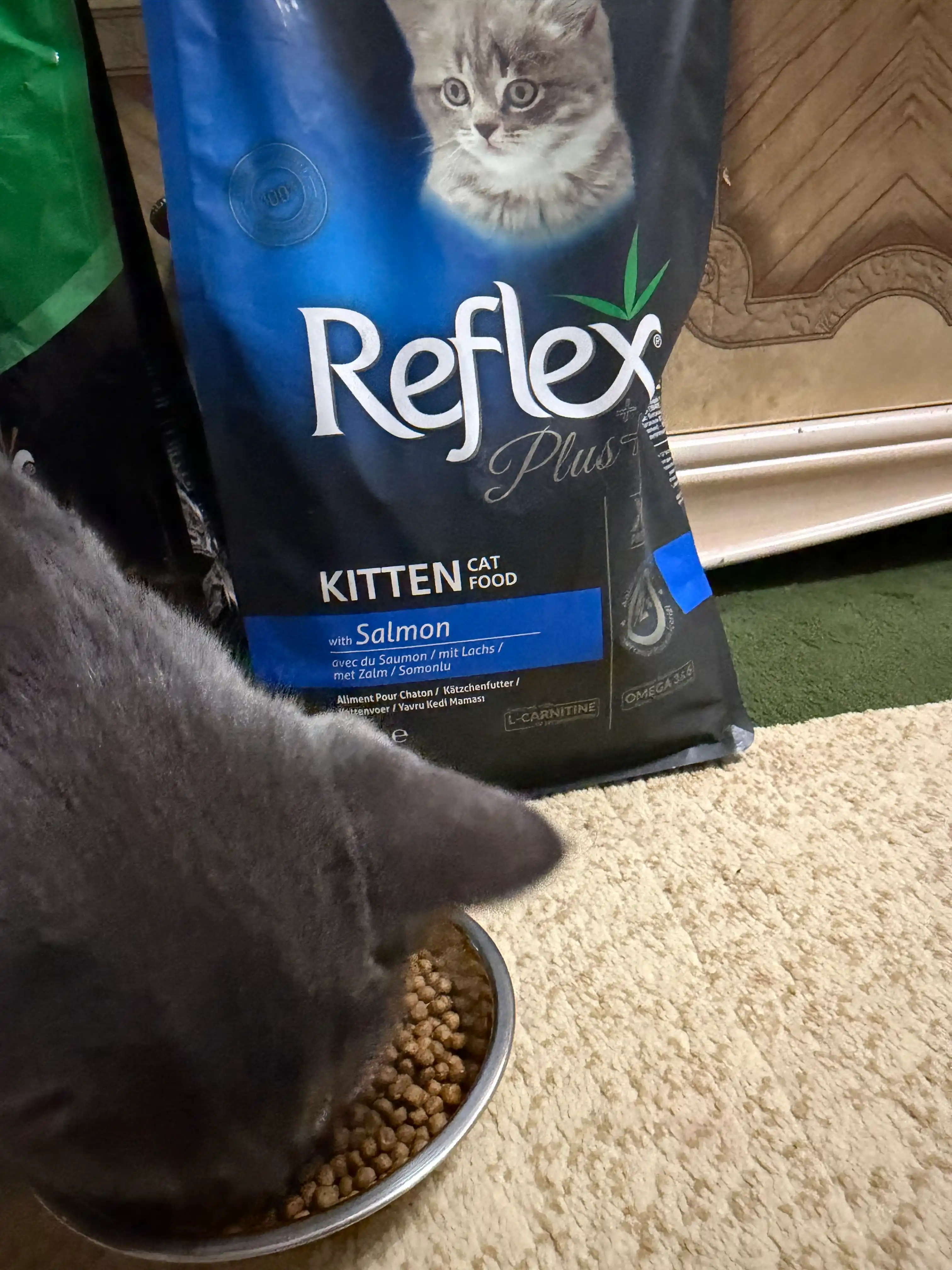 Reflex Plus Kitten Salmon quruq mushukchalarga moljallangan lososli ozuqa, 1.5 kg
