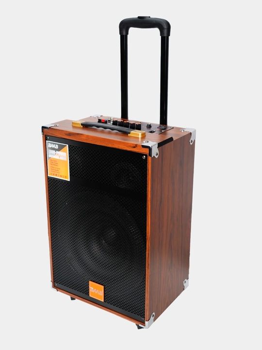 Simsiz mikrofon va pultli ko‘p funksiyali Bluetooth karaoke karnay