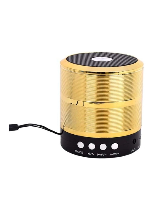 WS-887 Bluetooth Kolonka Simsiz Karnay FM Radio USB TF AUX Portativ Dinamik Qora
