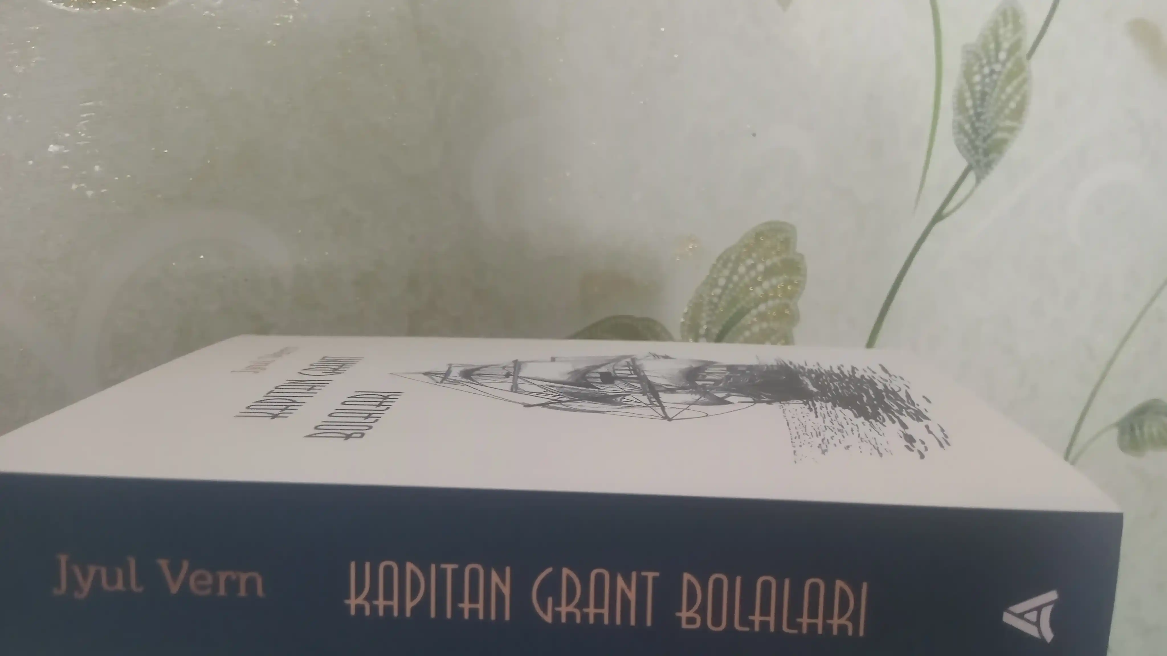 Китоб Жюл Верн, капитан Грант болалари, саргузашт, роман, классик адабиёт