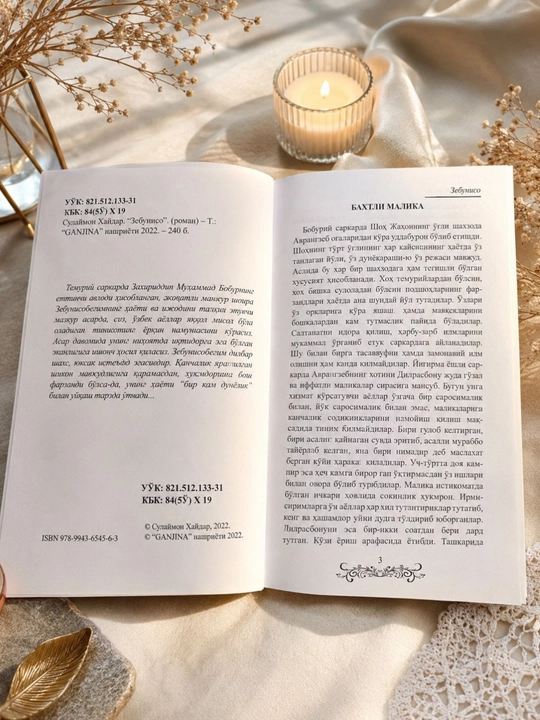 Badiiy adabiyot Tarixiy romanlar Zebuniso o'zbek ayoliga misol bola oladigan timsol