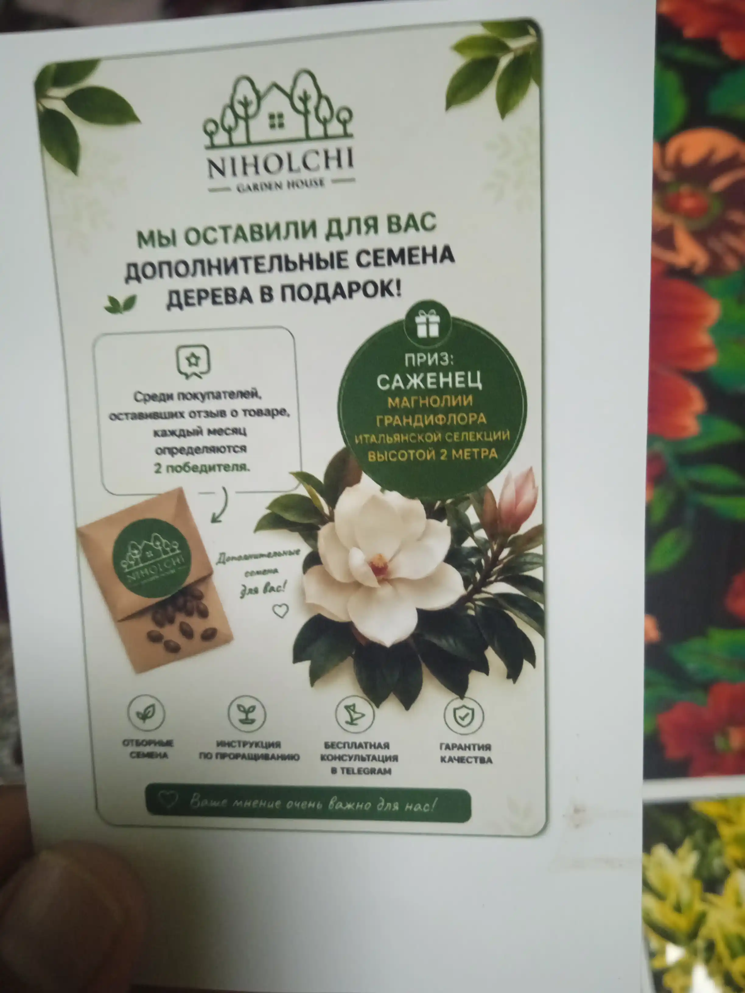 Tortinchoq mimoza urug‘lari, 15 ta urug‘, xona o‘simliklari urug‘lari, ekzotik o‘simliklar
