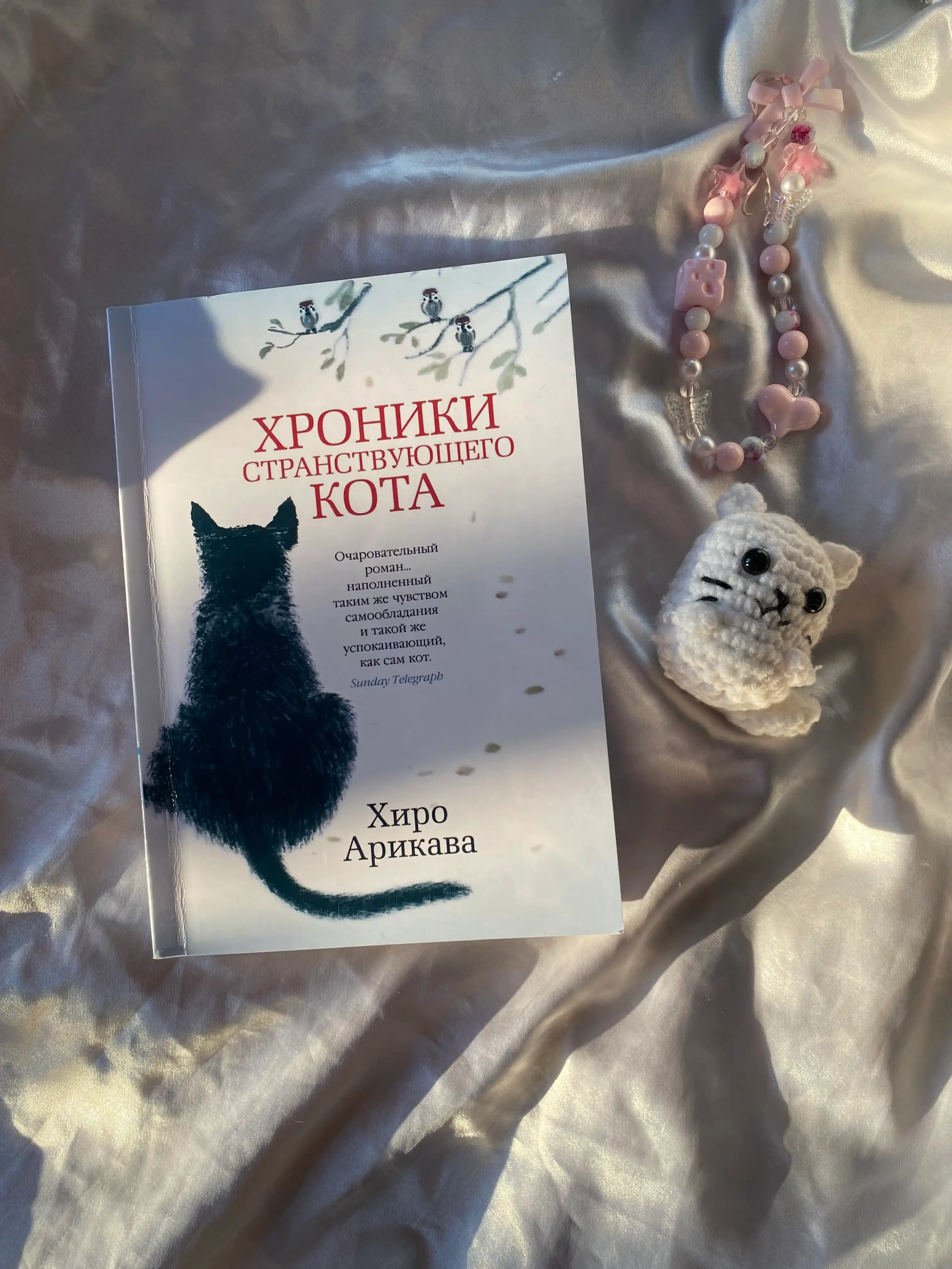 Hroniki stranstvuiushchego kota. Arikava Hiro