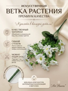 Белый