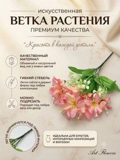 Коралловый