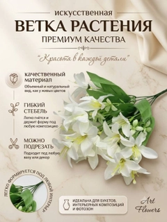 Слоновая кость