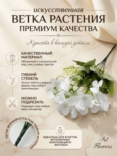 Прозрачный