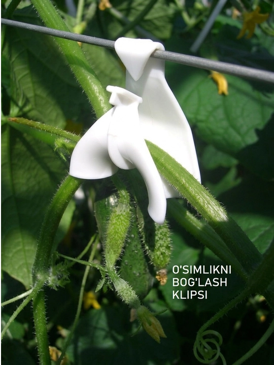 Radial krichka, bodring poyalari uchun shpalera ushlagichi, 10 dona
