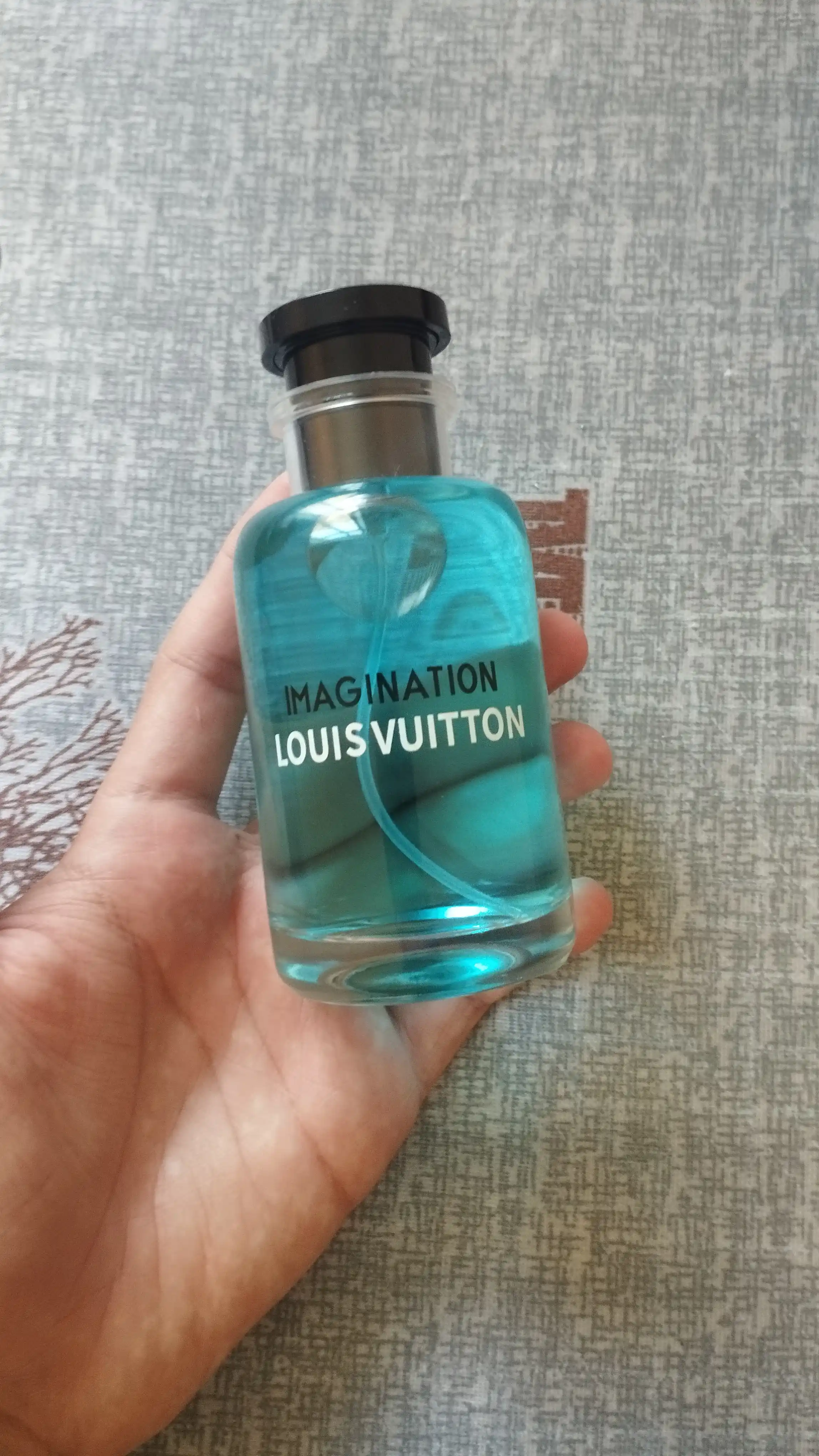Парфюмерная вода для мужчин Louis Vuitton Imagination, 100 мл