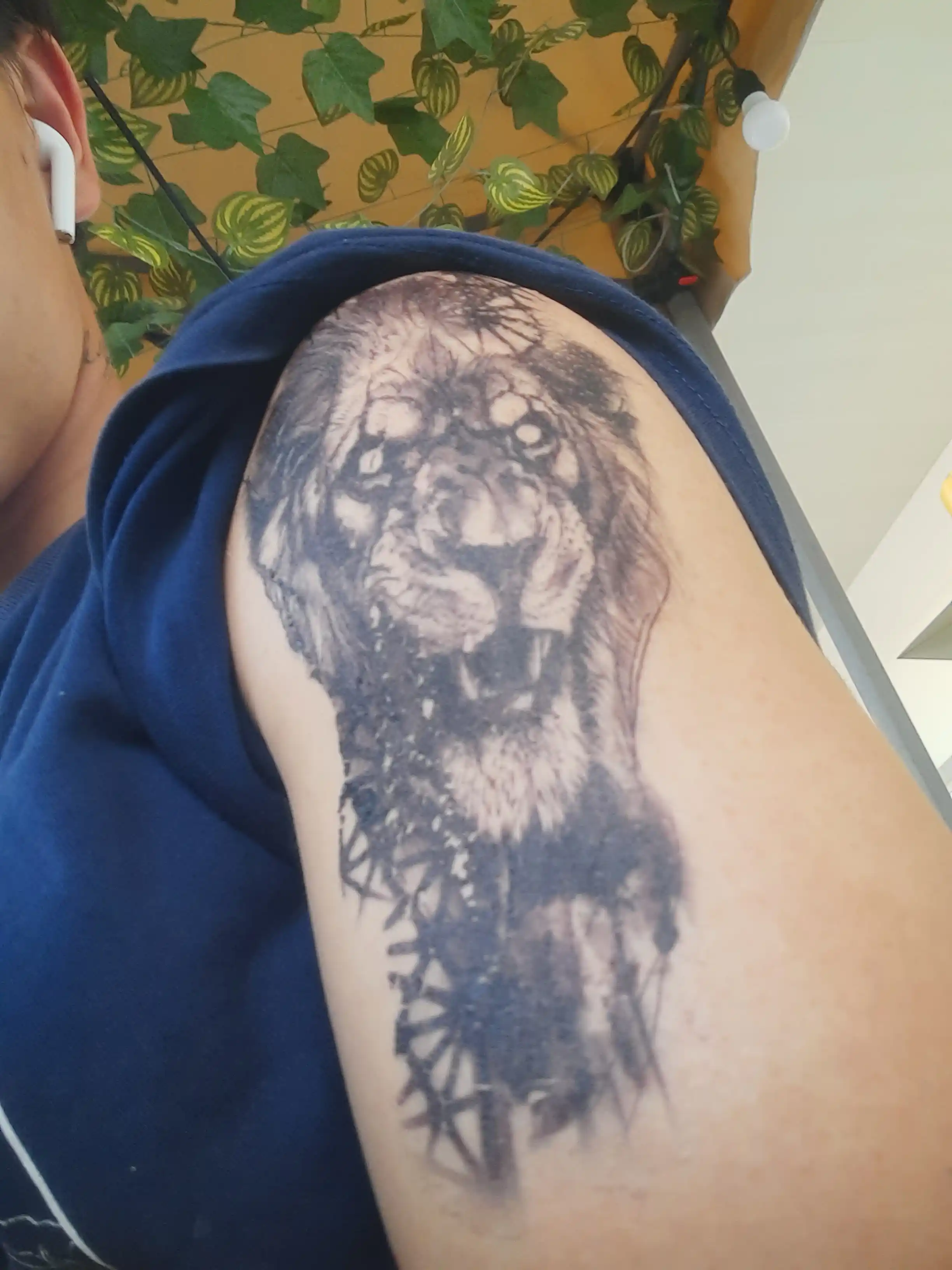 Tatuirovka, universal tatu, vaqtinchalik tatu, tana uchun, bo‘ri, ilon, yulduz