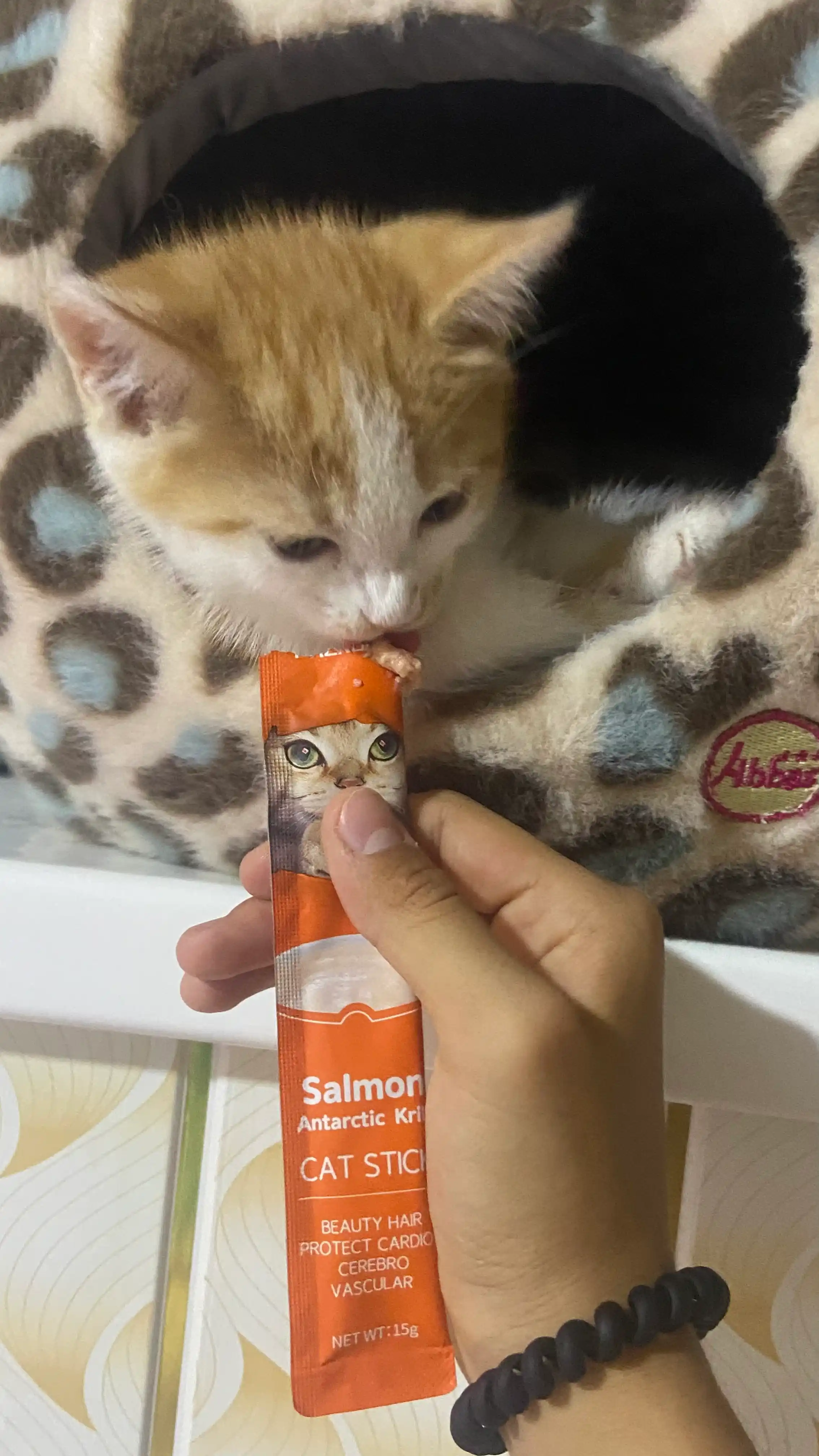 Влажный корм для кошек FAENBEI, с высоким содержанием белка, 10 шт