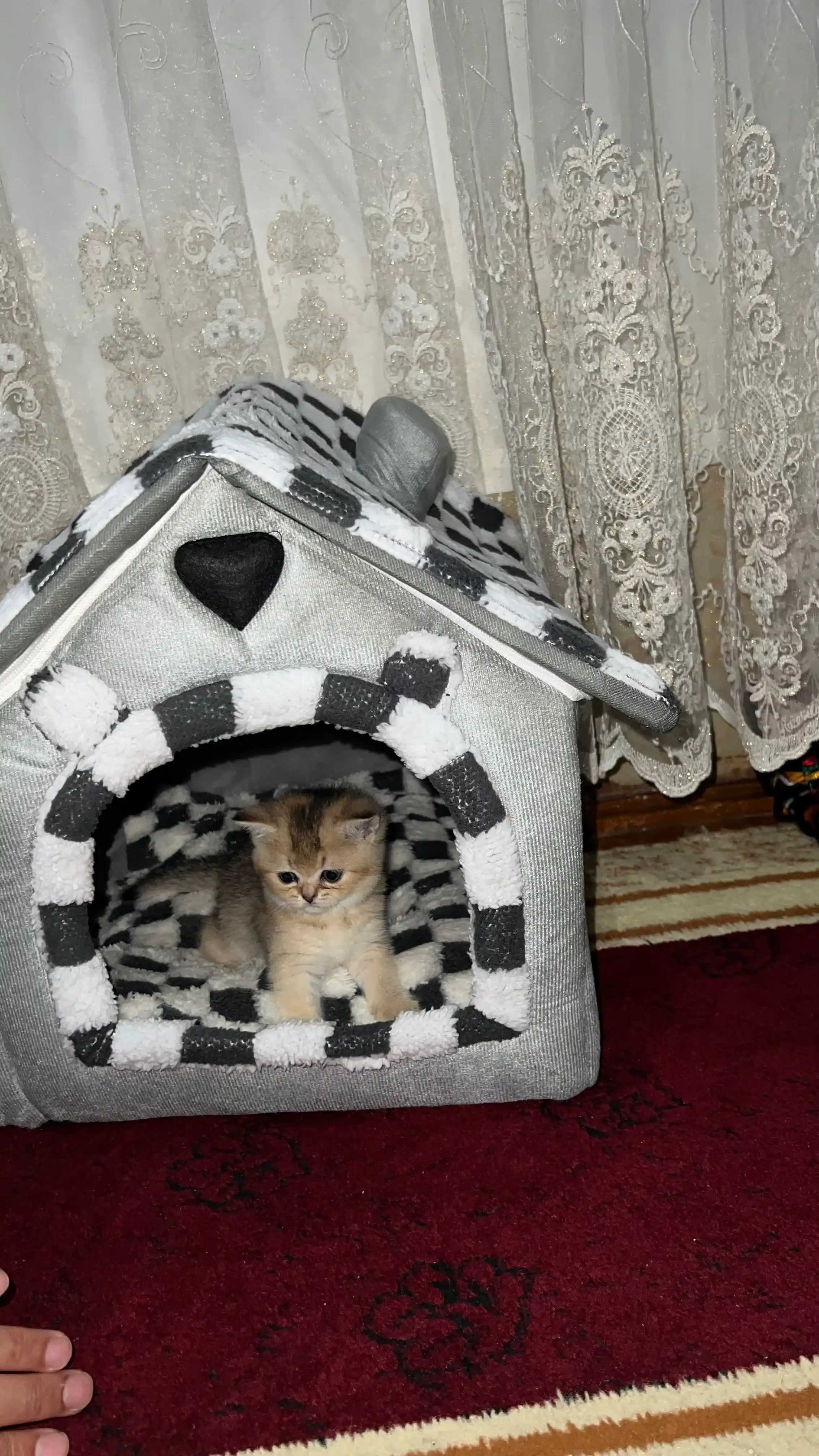 Домик лежанка для кошек и собак, мягкий складной дом с подушкой, универсальный