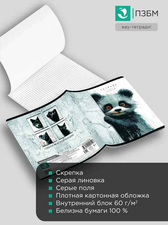Daftarlar to‘plami A5, 48 varaq, 5 dona, katakli, maktab va talabalar uchun Rossiya