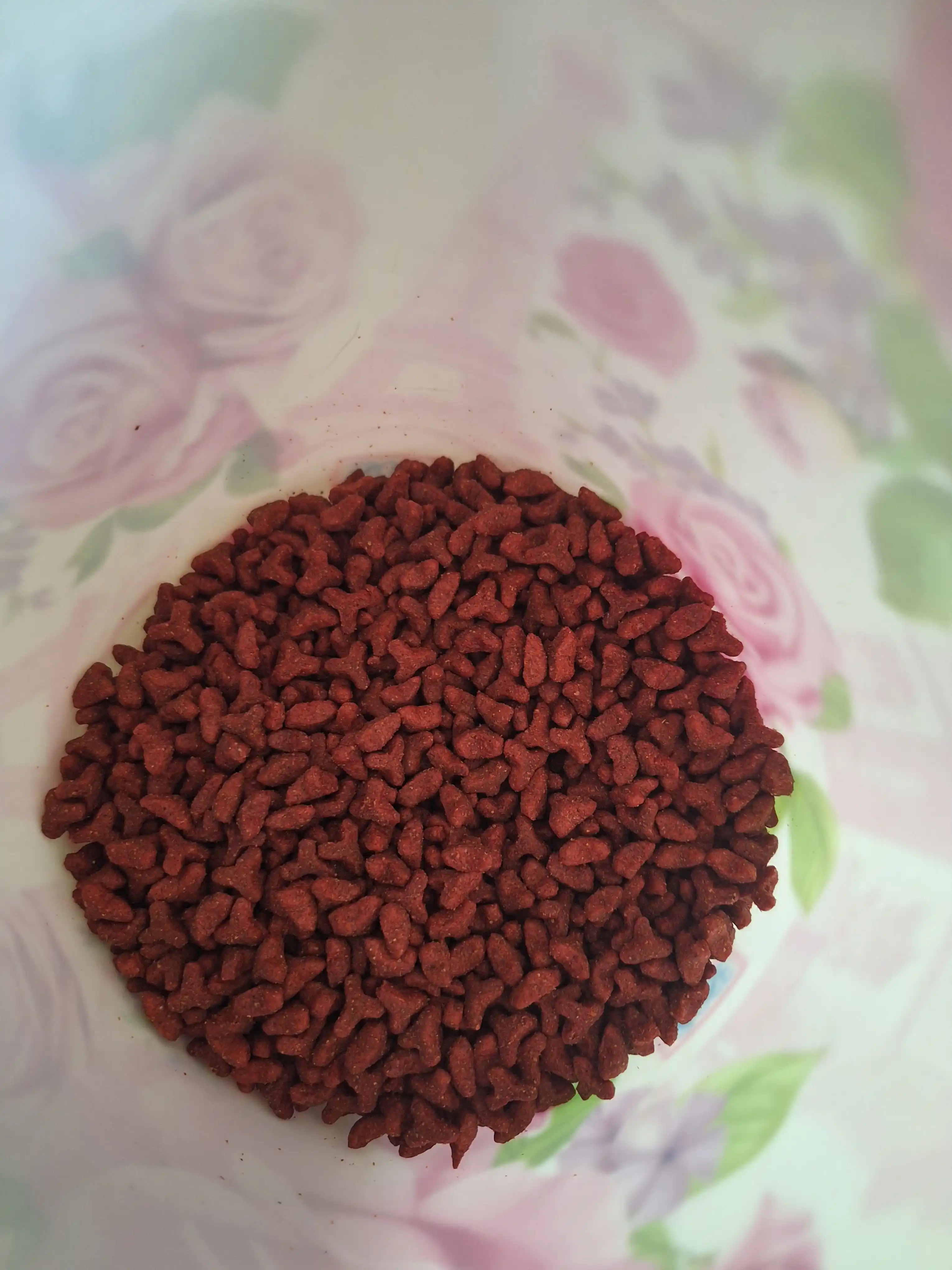 Myaу mushuklar uchun quruq yem, go‘sht bilan, 300 g