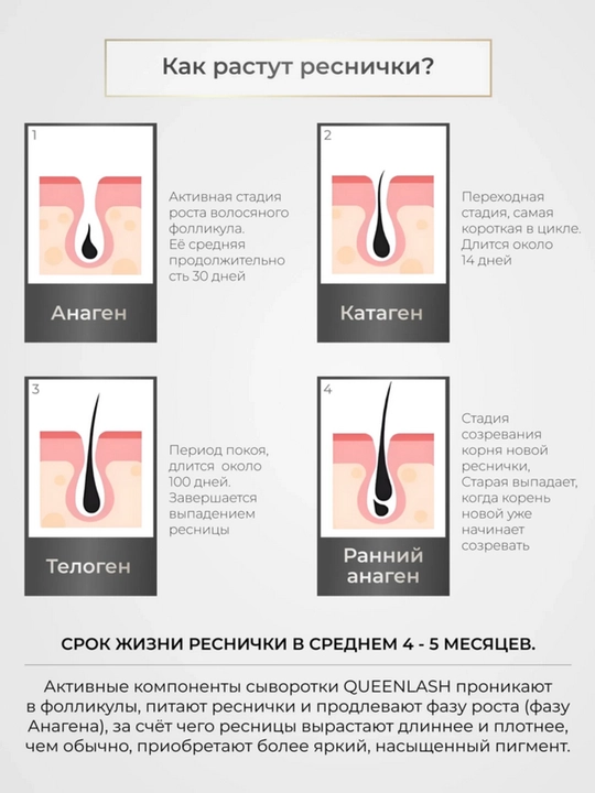 Сыворотка QUEENLASH для роста ресниц и бровей