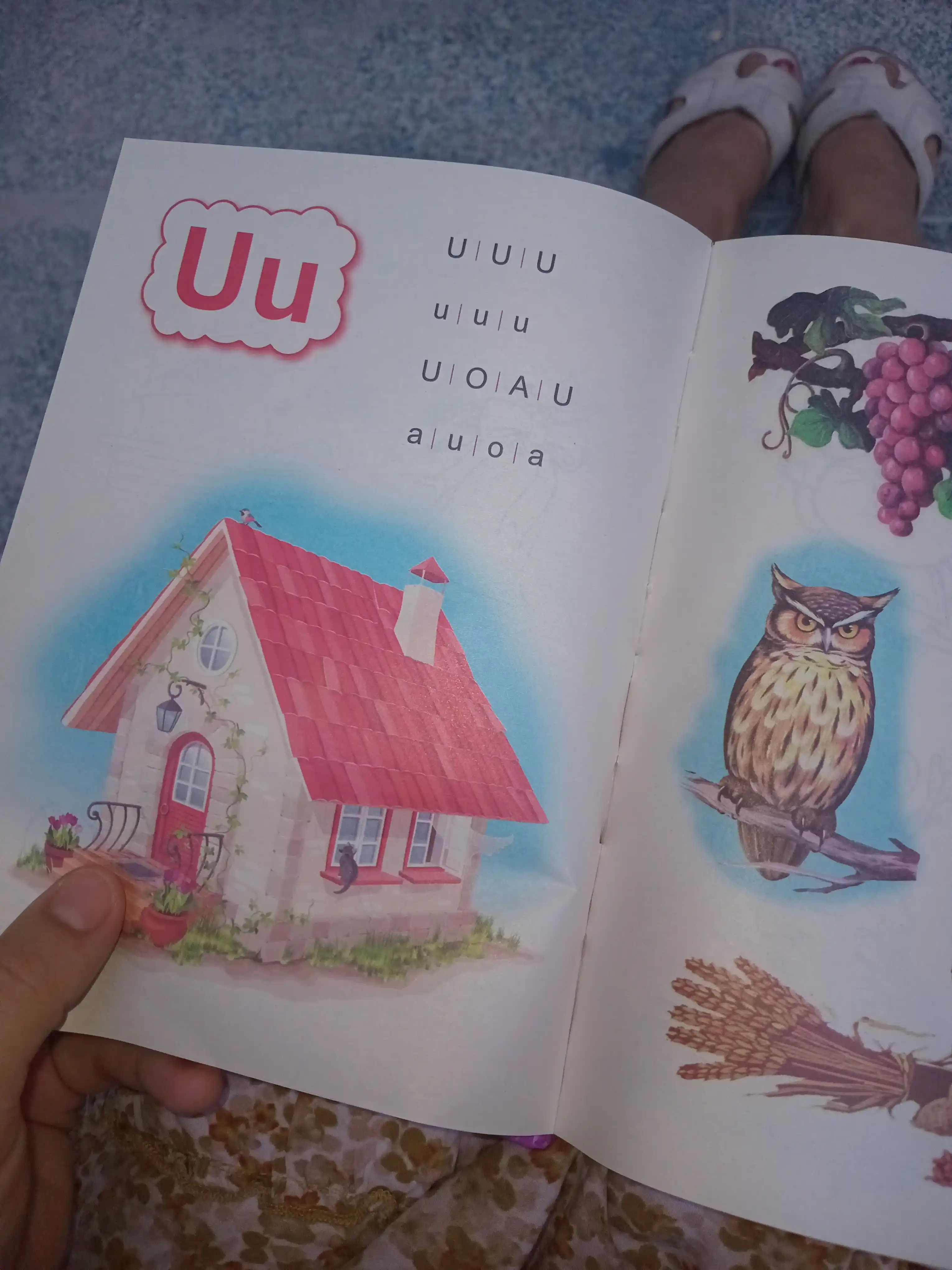 Букварь, Алифбе, детская книга, дошкольное обучение