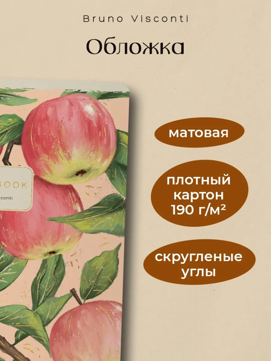Qizlar uchun daftarlar to‘plami, A5, 48 varaq, 5 dona, katakchali