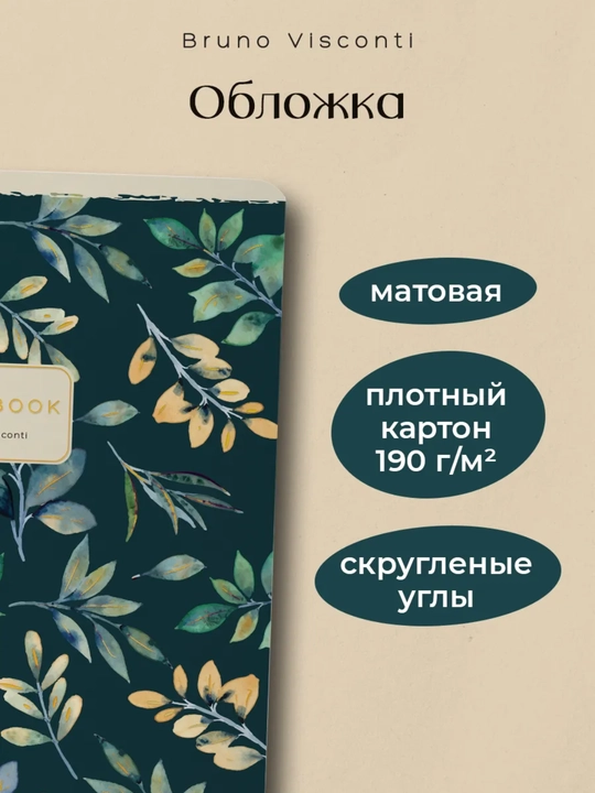 Qizlar uchun daftarlar to‘plami, A5, 48 varaq, 5 dona, katakchali