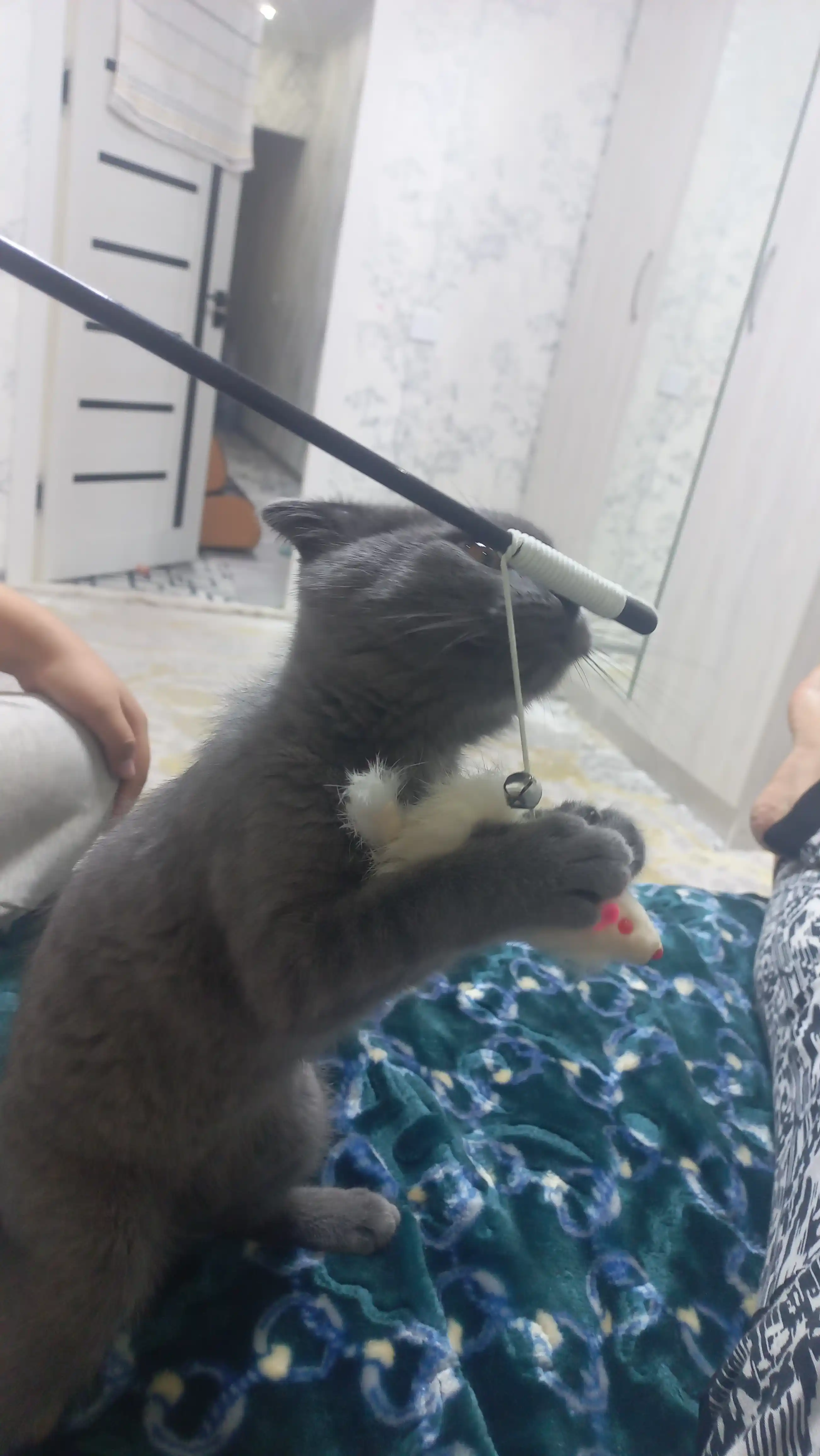 Игрушка для кошек, удочка-дразнилка, мышка из натурального меха