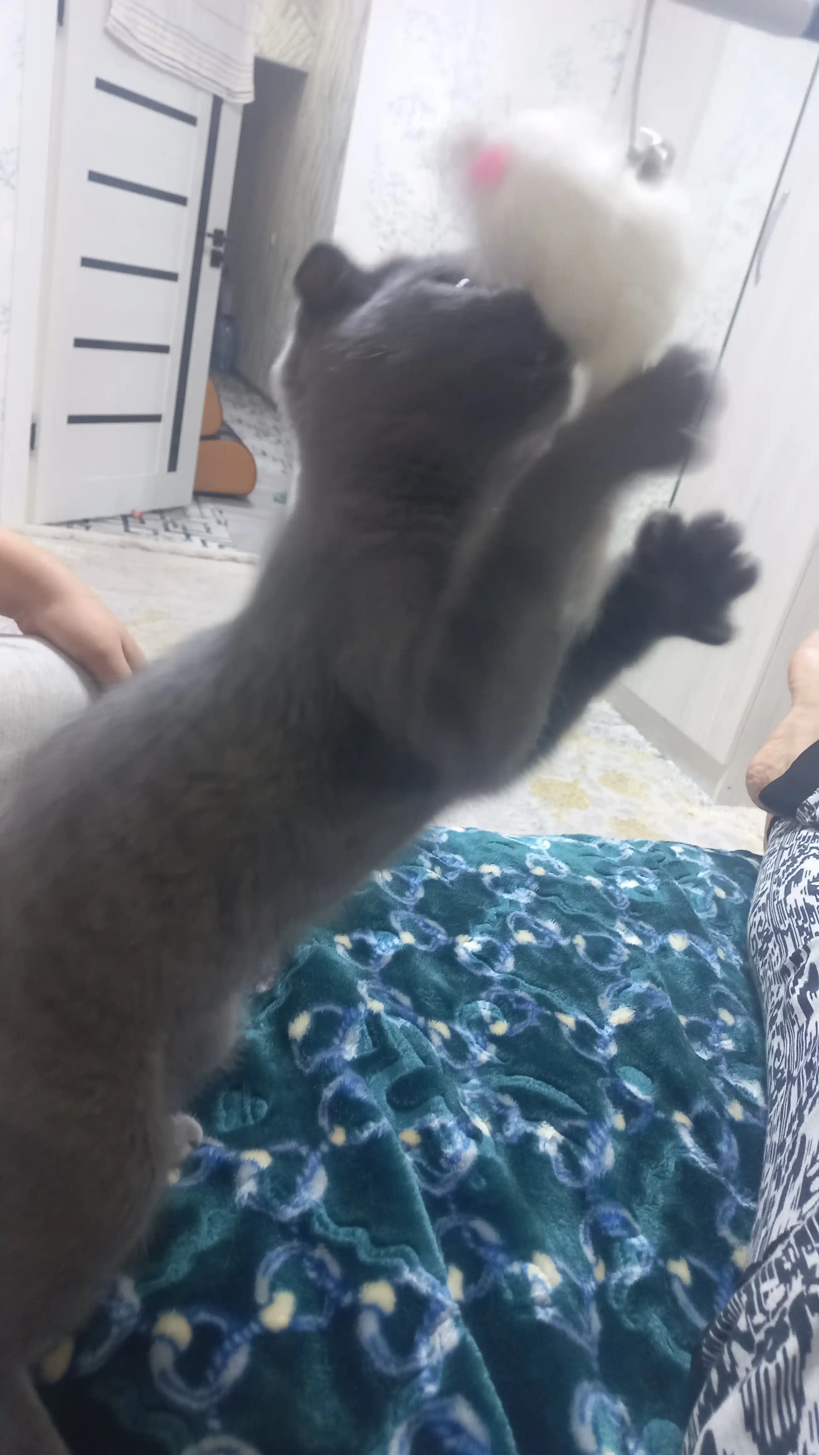 Игрушка для кошек, удочка-дразнилка, мышка из натурального меха