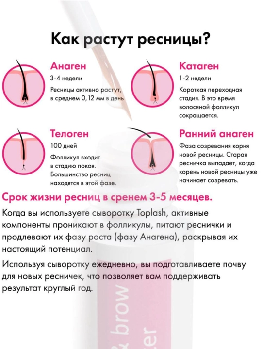 TopLash Lash & Brow Booster сыворотка для роста ресниц и бровей, 2 мл