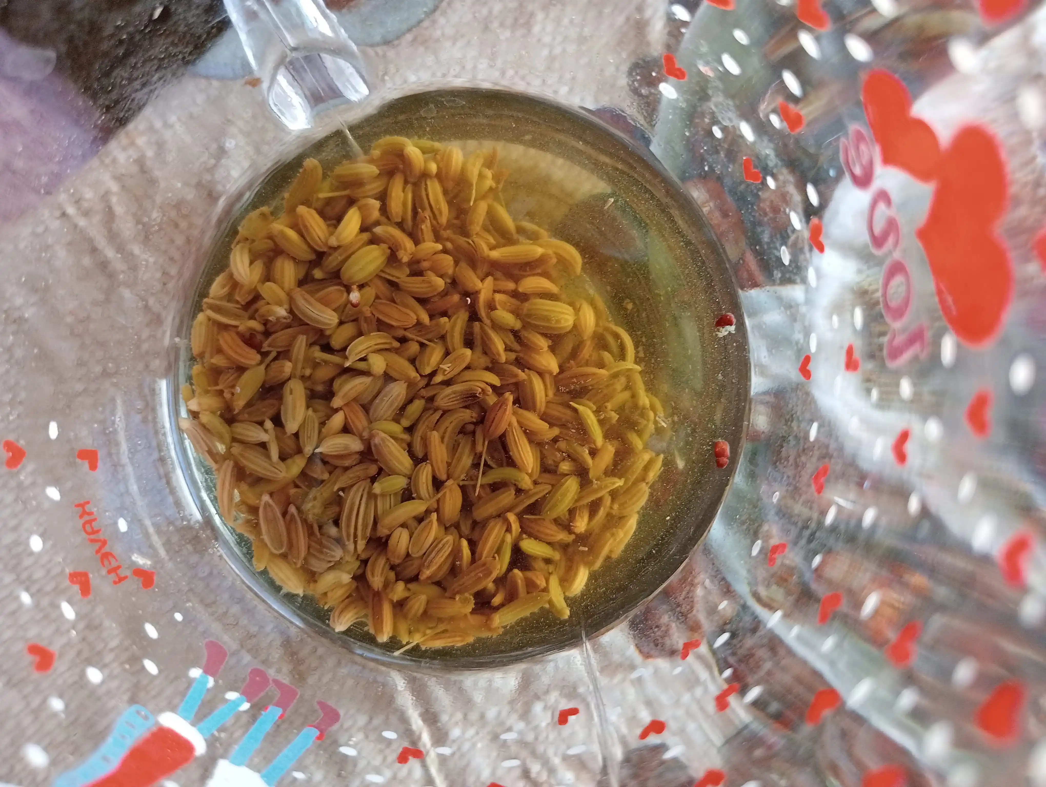 Arpabodiyon urug'i Horun dan, 80 gr