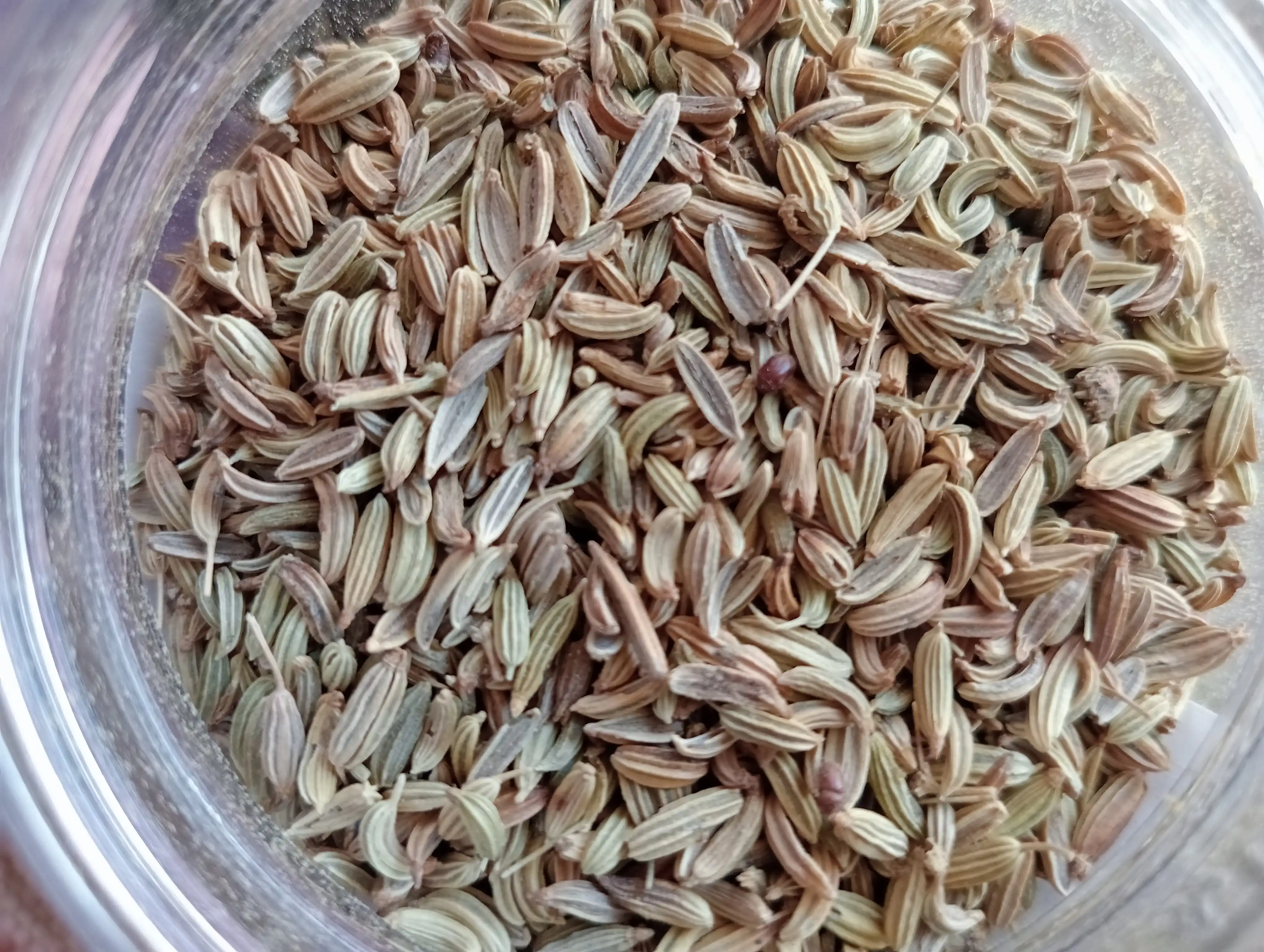 Arpabodiyon urug'i Horun dan, 80 gr