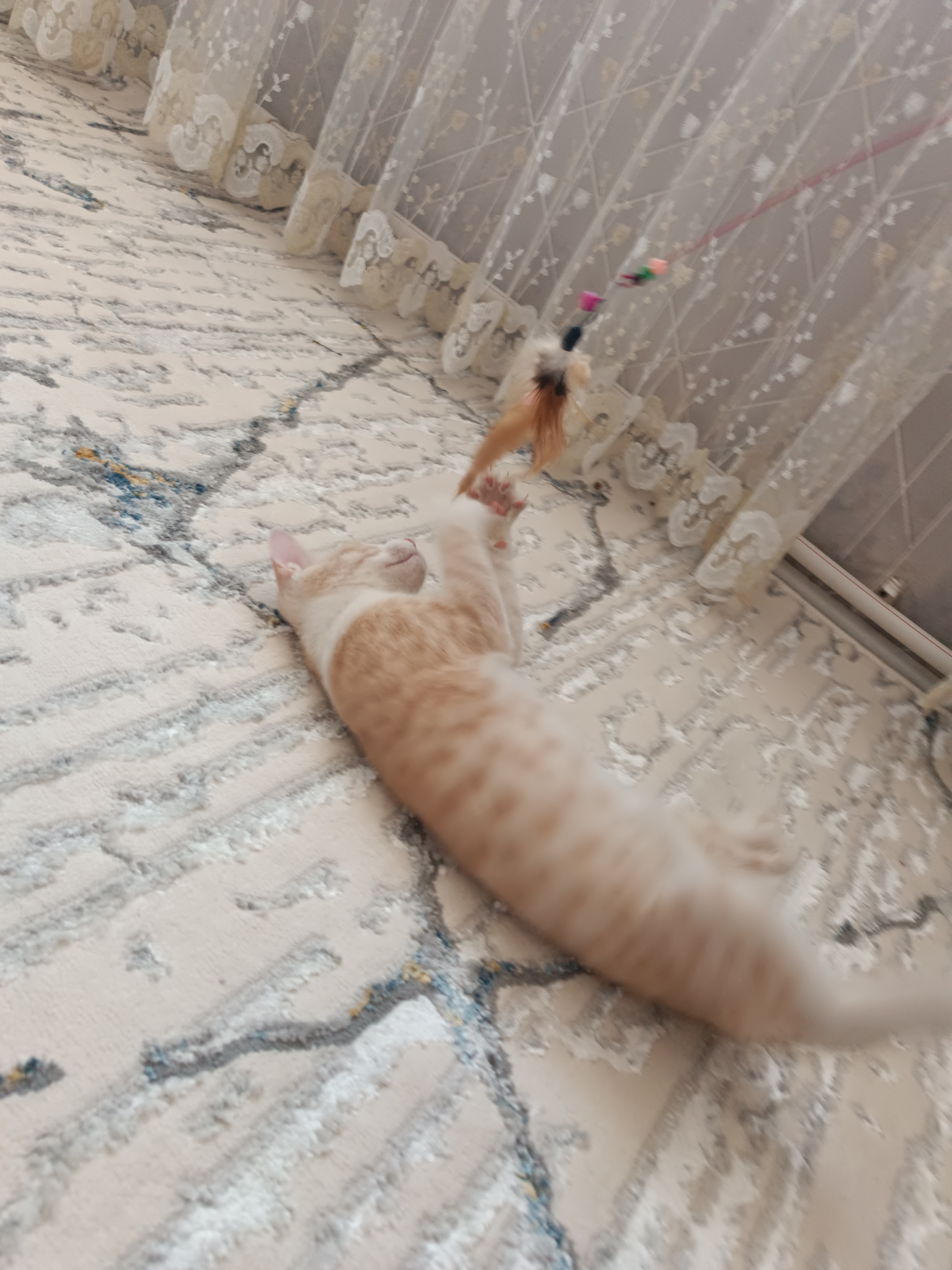 Игрушка для кошек, удочка с пером и колокольчиком
