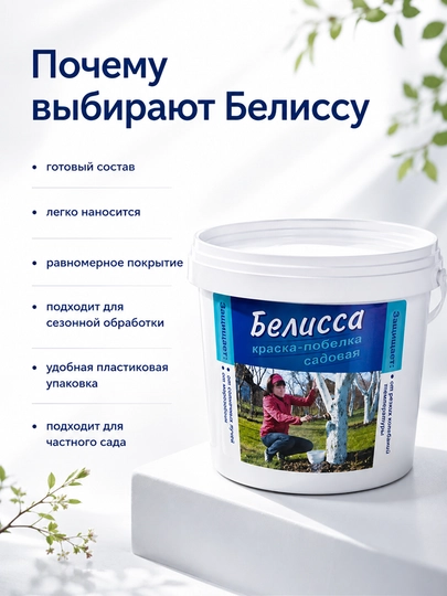 Bog' oqlash Belissa, daraxt tanasini himoya qilish uchun, 2,8 kg