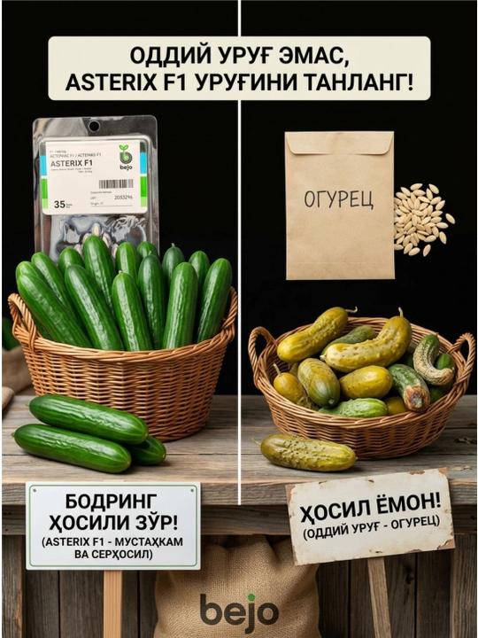 Bejo ASTERIX F1 Гладкий огурец, 35 семян