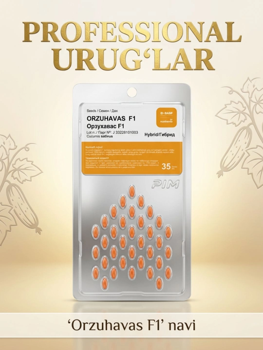 Nunhems BASF Orzuhavas F1 Silliq Bodring urug'i 35 dona - 