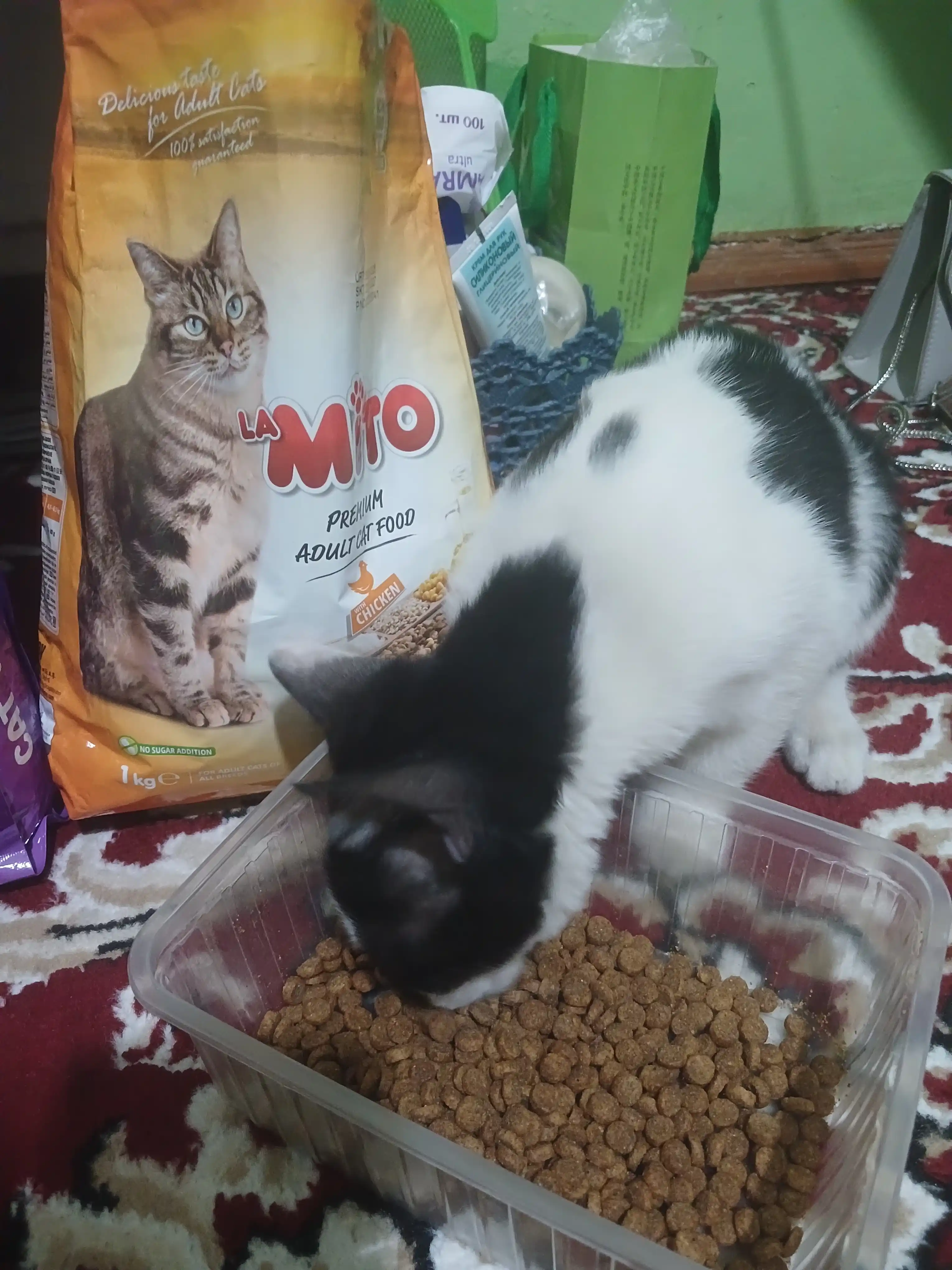 Mito mushuklar uchun quruq yem, tovuq go‘shti bilan, 1 kg