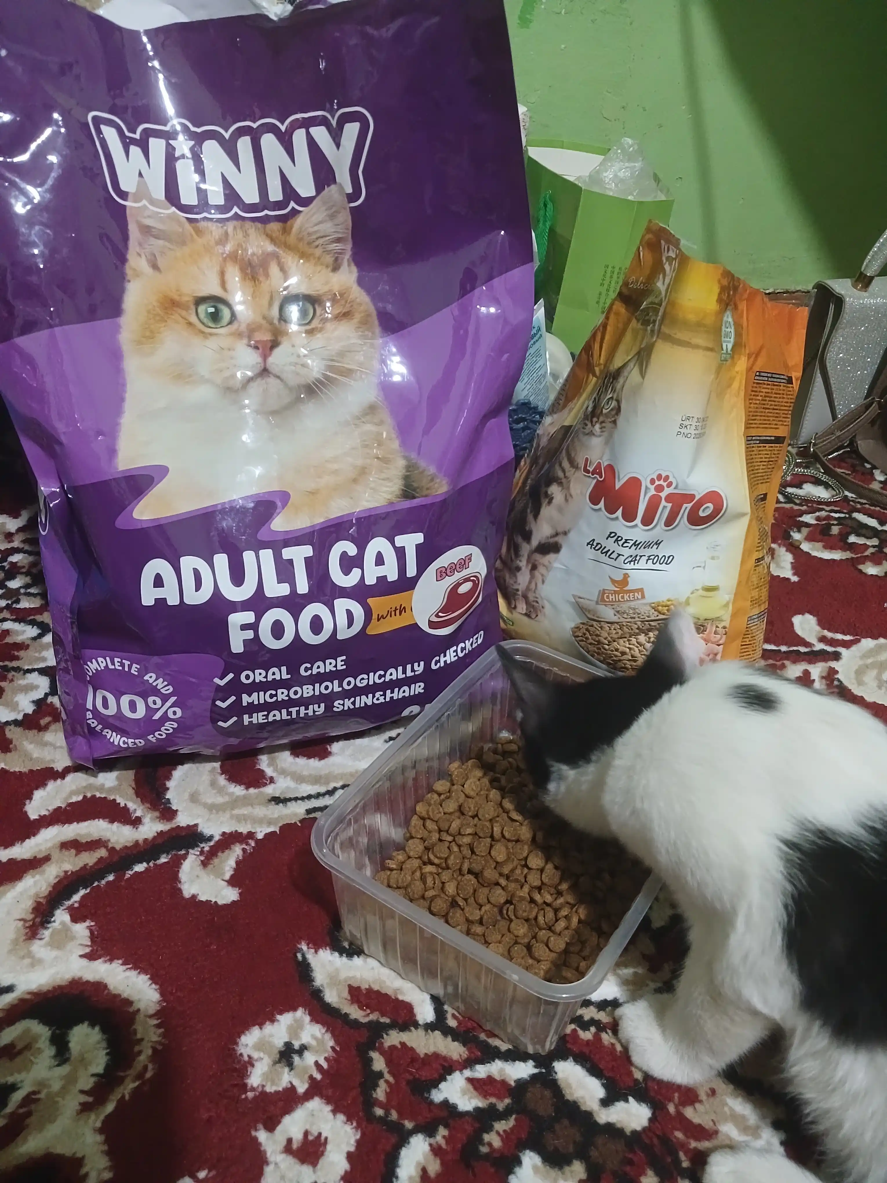 Mito mushuklar uchun quruq yem, tovuq go‘shti bilan, 1 kg