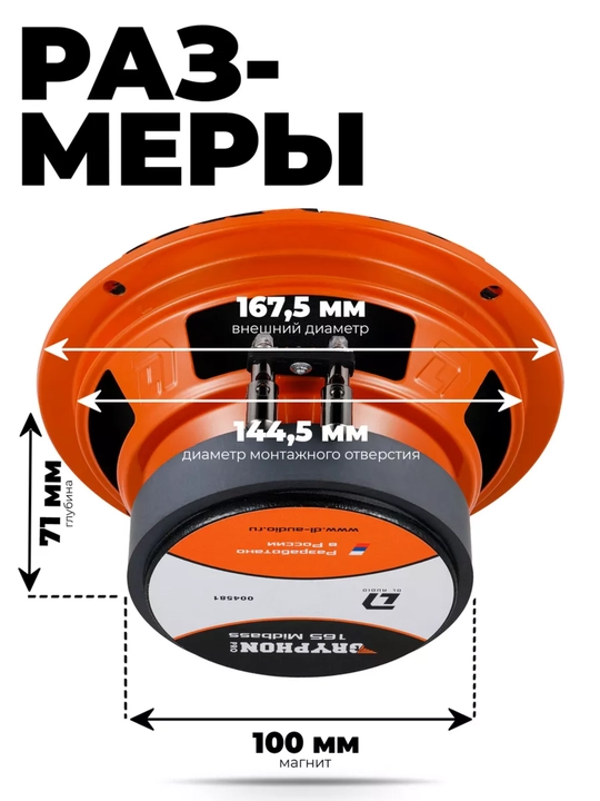 Dl Audio Gryphon Pro 165 MidBass 16 sm avtomobil karnaylari