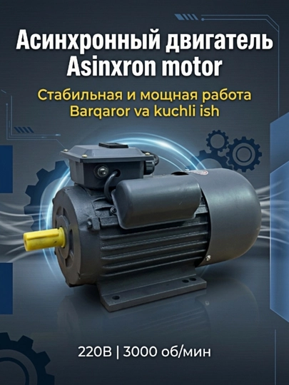 Bir fazali elektr motor 2.2 kVt 3 kVt 220 V 3000 rpm YL90L-2 YL100L-2 IP55 - 