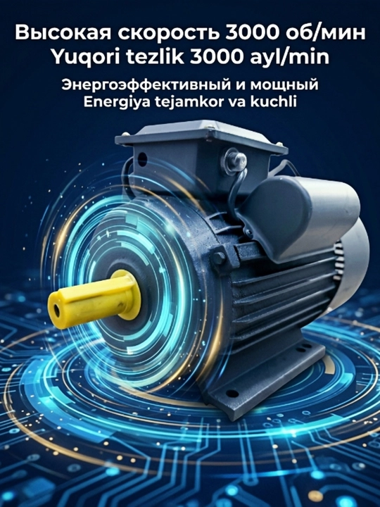 Bir fazali elektr motor 2.2 kVt 3 kVt 220 V 3000 rpm YL90L-2 YL100L-2 IP55