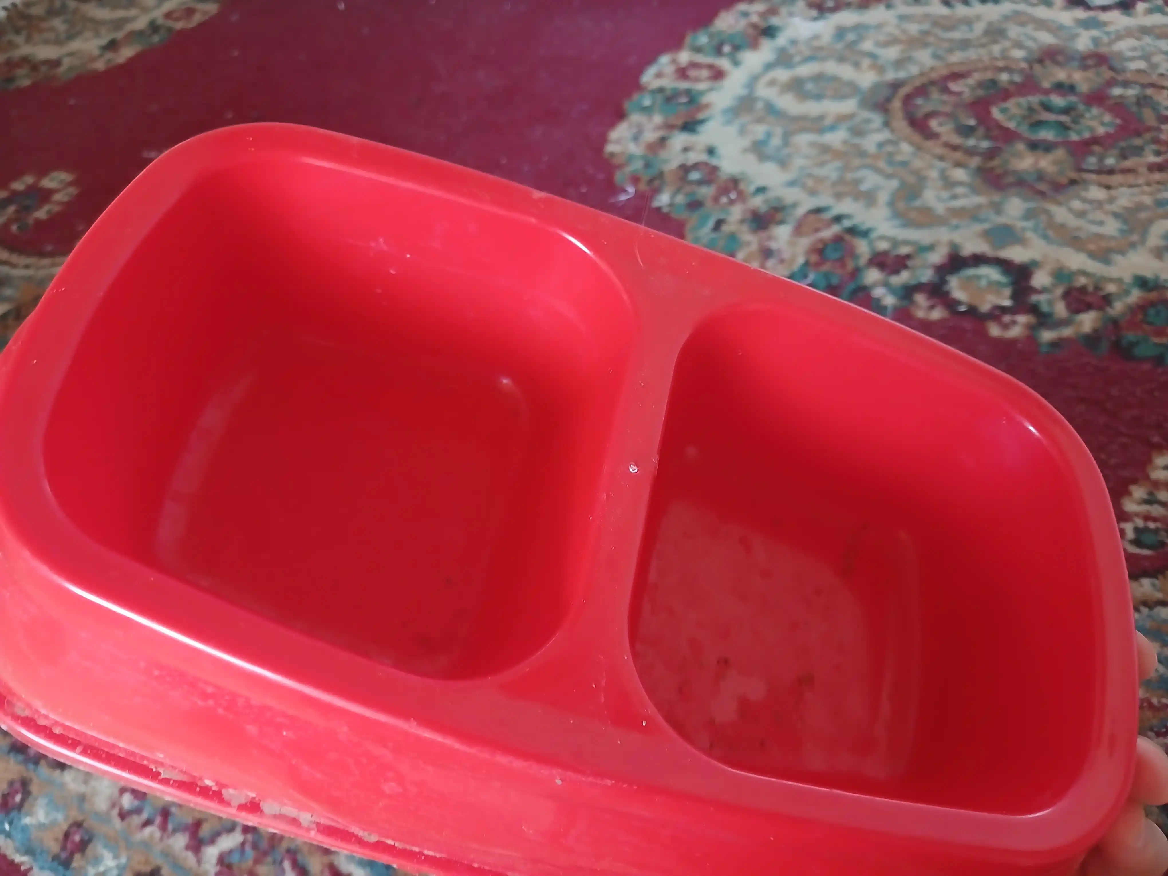 Mushuk va itlar uchun katta ikkitalik ovqat idishi, miska, 27 x 16.5 x 6.5 sm